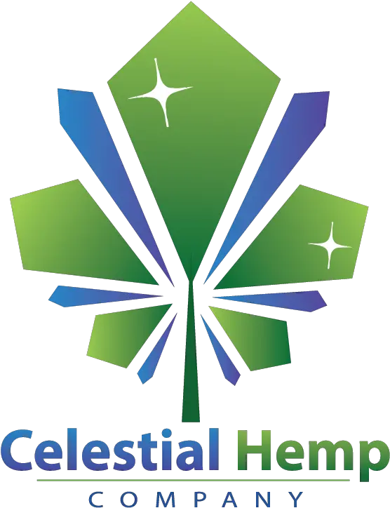 Logo Design In Winston Graphic Design Png Celestial Being Logo PNG transparent background