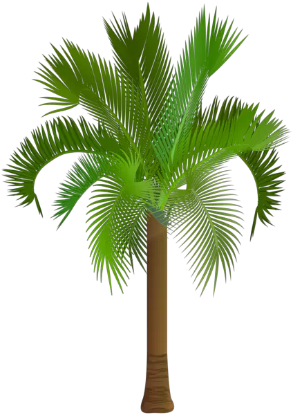 Palm Tree Silhouette Png Free