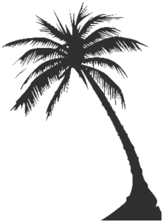 Long Coconut Tree Png Clipart All Vector Palm Tree Silhouette Black Tree Png