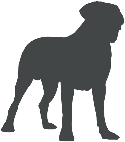 Transparent Png Svg Vector File Transparent Silhouette Dog Vector Dog Silhouette Transparent Background