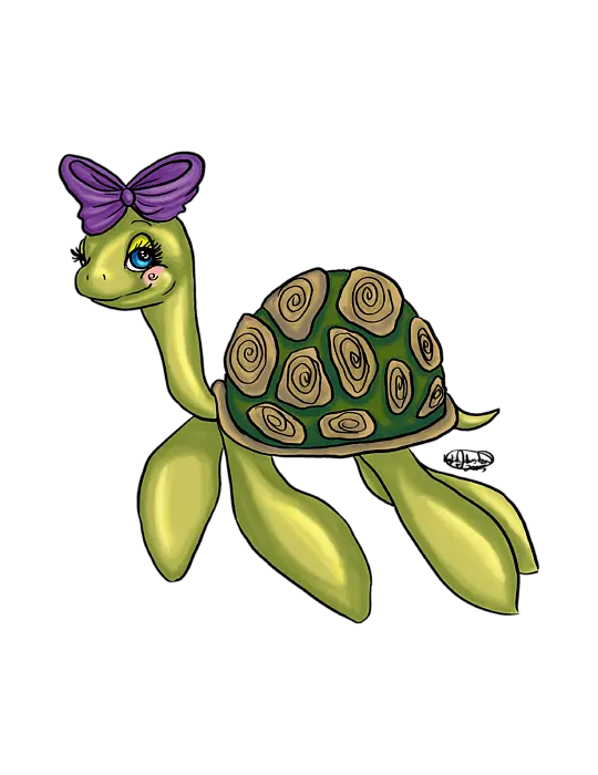 Cute Turtle Png Cartoon Cute Turtle Png