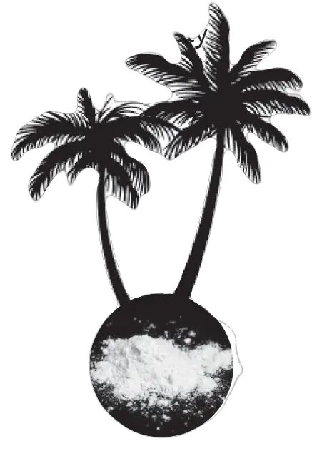 White Powder In The Blue Continent Transparent Palm Tree Silhouette Png Cocain Png