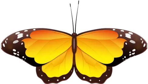 Free Yellow Butterfly Png Download Yellow Cartoon Realistic Butterfly Yellow Butterfly Png