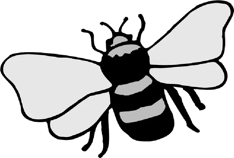 Simple Cartoon Bee Stripes Wings Art Insect Public Bumblebee Drawing Png Cartoon Bee Png