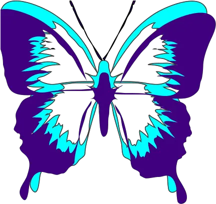 Butterfly Png Svg Clip Art For Web Download Clip Art Png Vector Butterfly Silhouette Png Luke Newberry Gif Icon