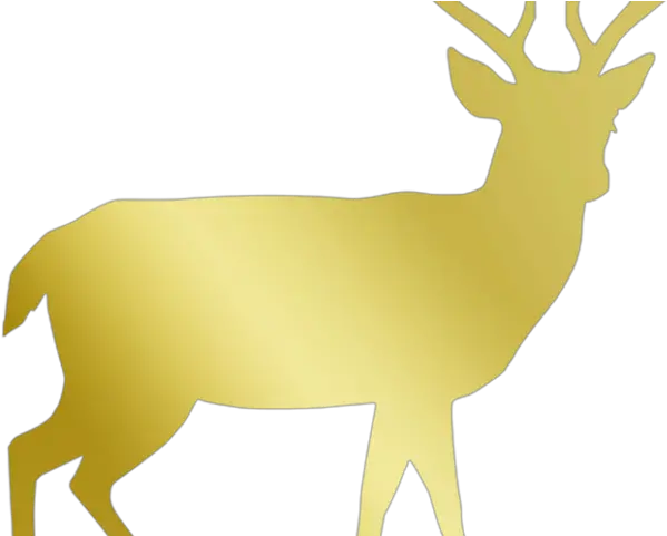 Reindeer Antlers Clipart Male Deer Silhouette Png White Tailed Deer Silhouette Reindeer Antlers Transparent Background