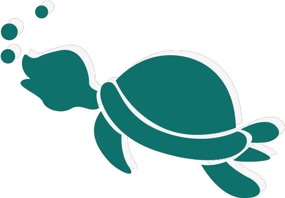 Sea Turtle Cute Cartoon Tortoise Turtle Png Download 600 Cartoon Transparent Sea Turtle Png Sea Turtle Png