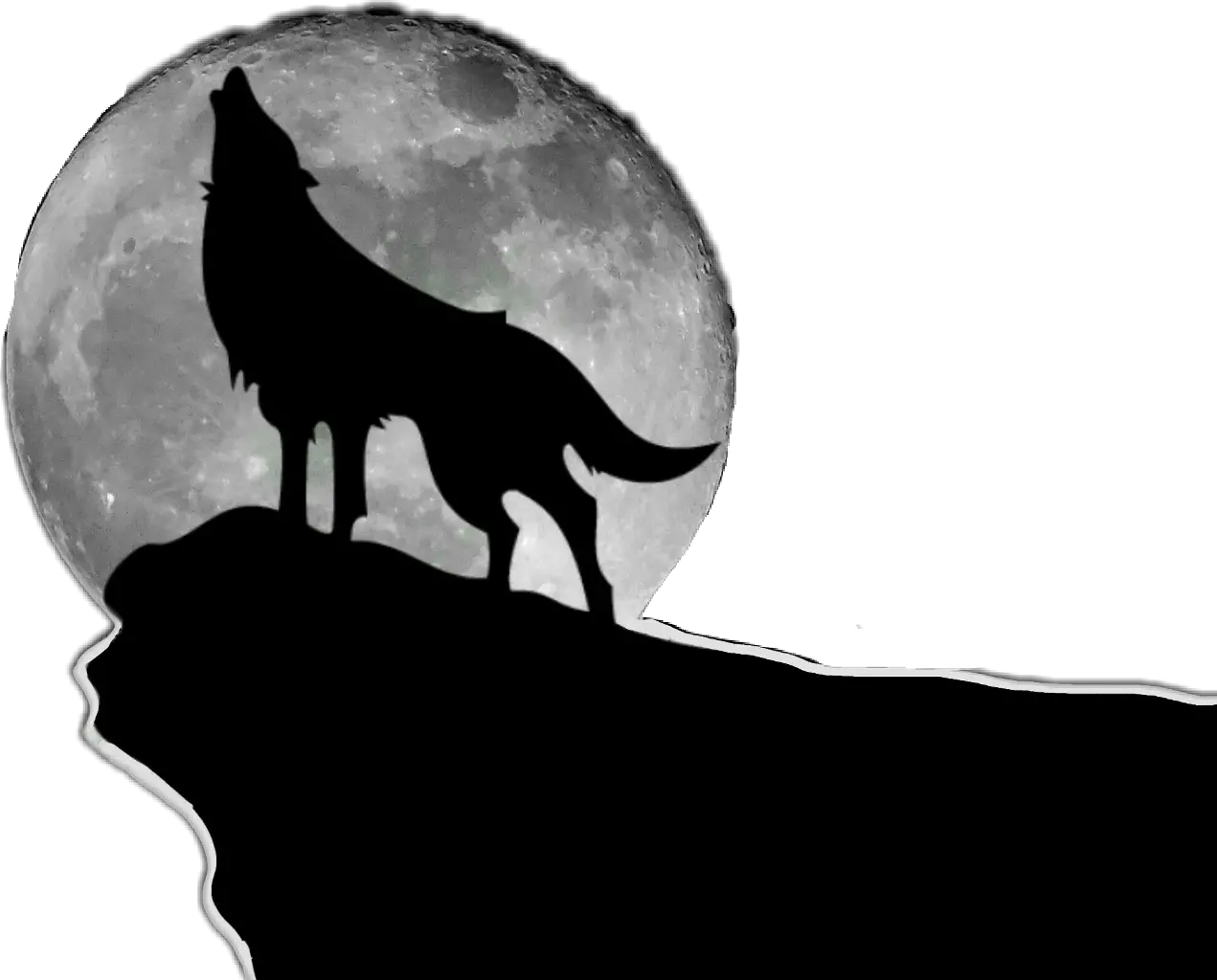 Freetoedit Wolf Moon Silhouette Howling Wolf Howling With Moon Transparent Png Moon Silhouette Png