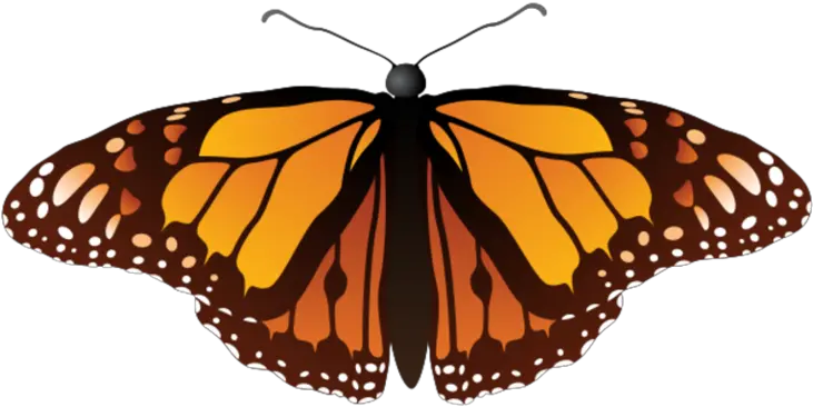 Free Butterfly 1198175 Png With Monarch Cartoon Butterfly Transparent Background Monarch Butterfly Icon