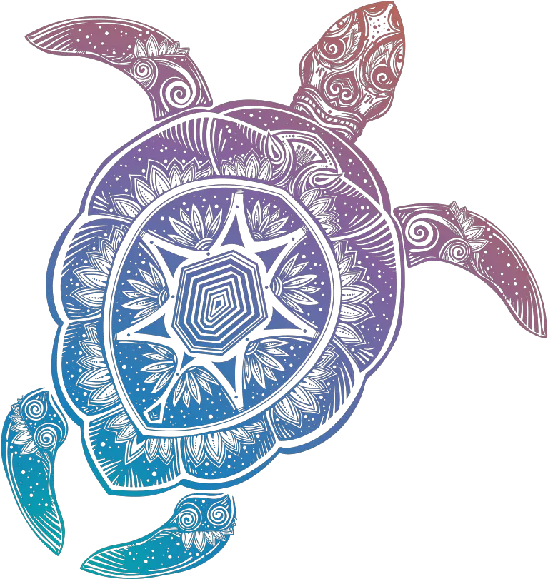 Download Loggerhead Sea Turtle Cartoon Png Transparent Backgrounds