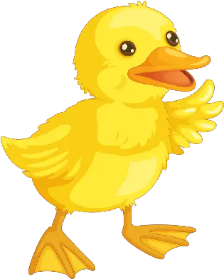 Cartoon Duck Png Picture Baby Duckling Clipart Duck Clipart Png