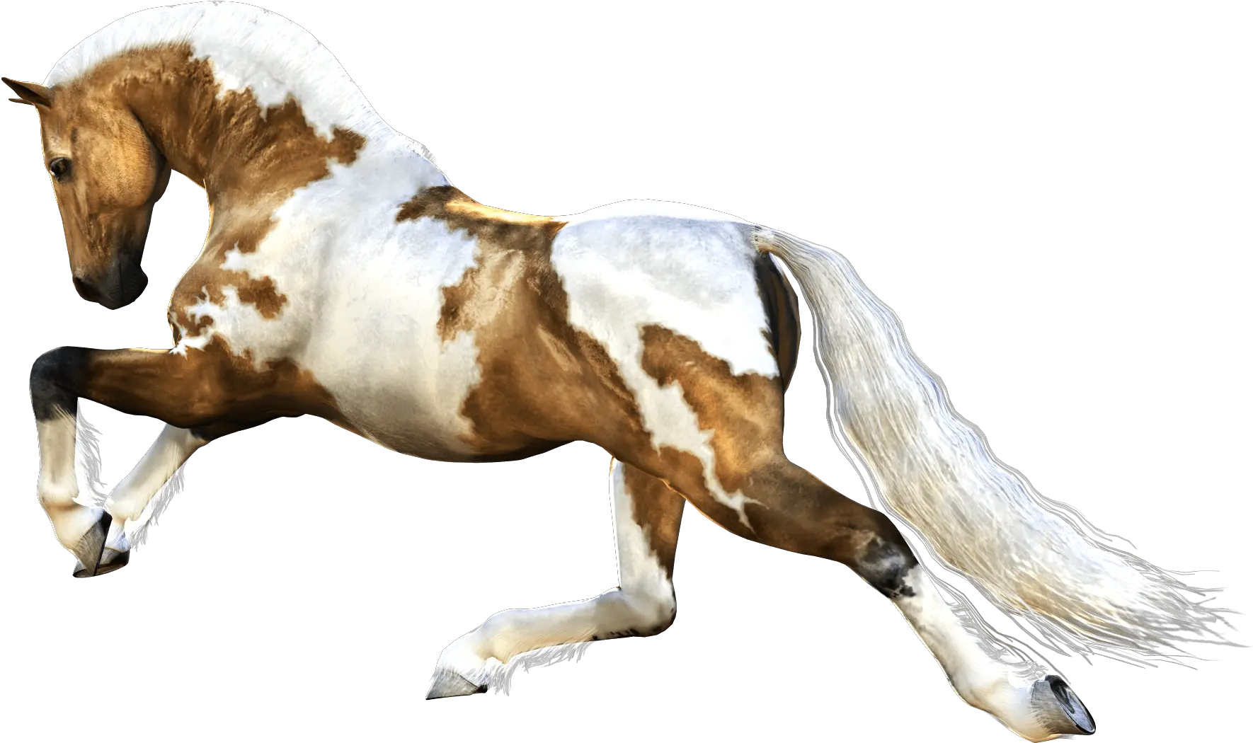 Download Horse Png Image Hq Horse Running Images Png Cartoon Horse Png