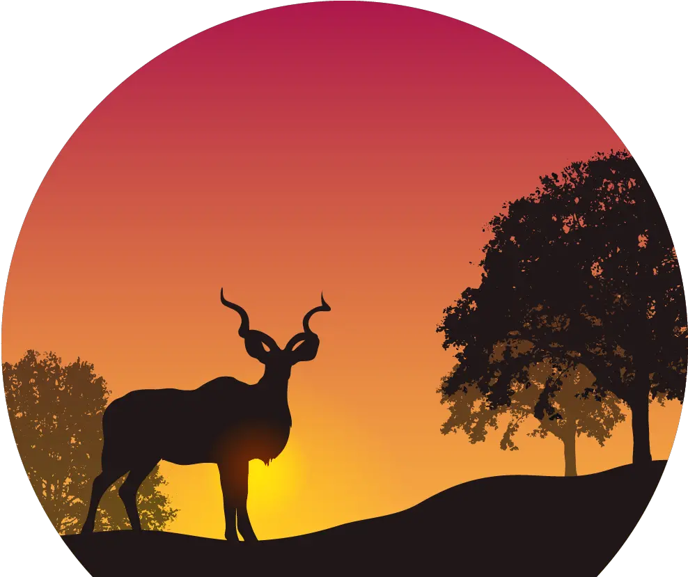 Download Sunset Png Image For Free Kudu Deer Silhouette Sunset Png