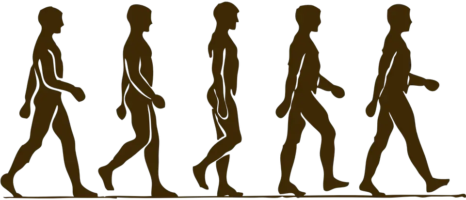 Man Human Silhouette Man Walking Step By Step Png Human Silhouette Png