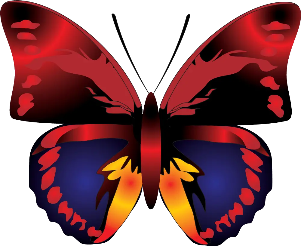 Download Butterfly Png Image Hq In Different Butterfly Cartoon Clipart Png Butterfly Png Transparent