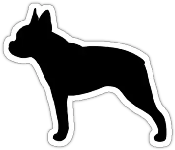 Dog Silhouette Boston Terrier Tattoos Vector Boston Terrier Silhouette Png Boston Terrier Png