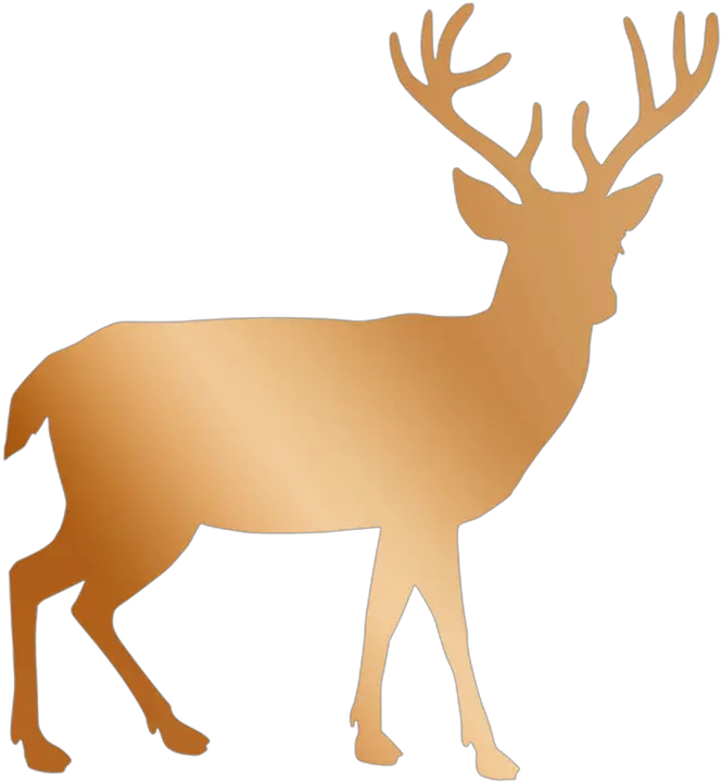 Copper Rose Gold Deer Deer Silhouette Transparent Background Png Deer Png