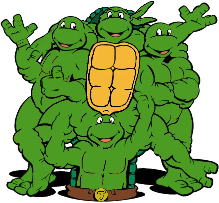 Download Ninja Turtle Michelangelo Face Cartoon Teenage Mutant Ninja Turtles Png Ninja Face Png