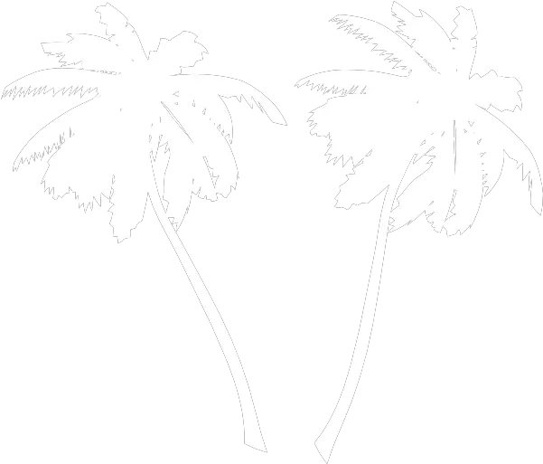 White Palm Tree Silhouette Png Christopher Romero And Carlos Mena And Alex Guzman Palm Tree Silhouette Png