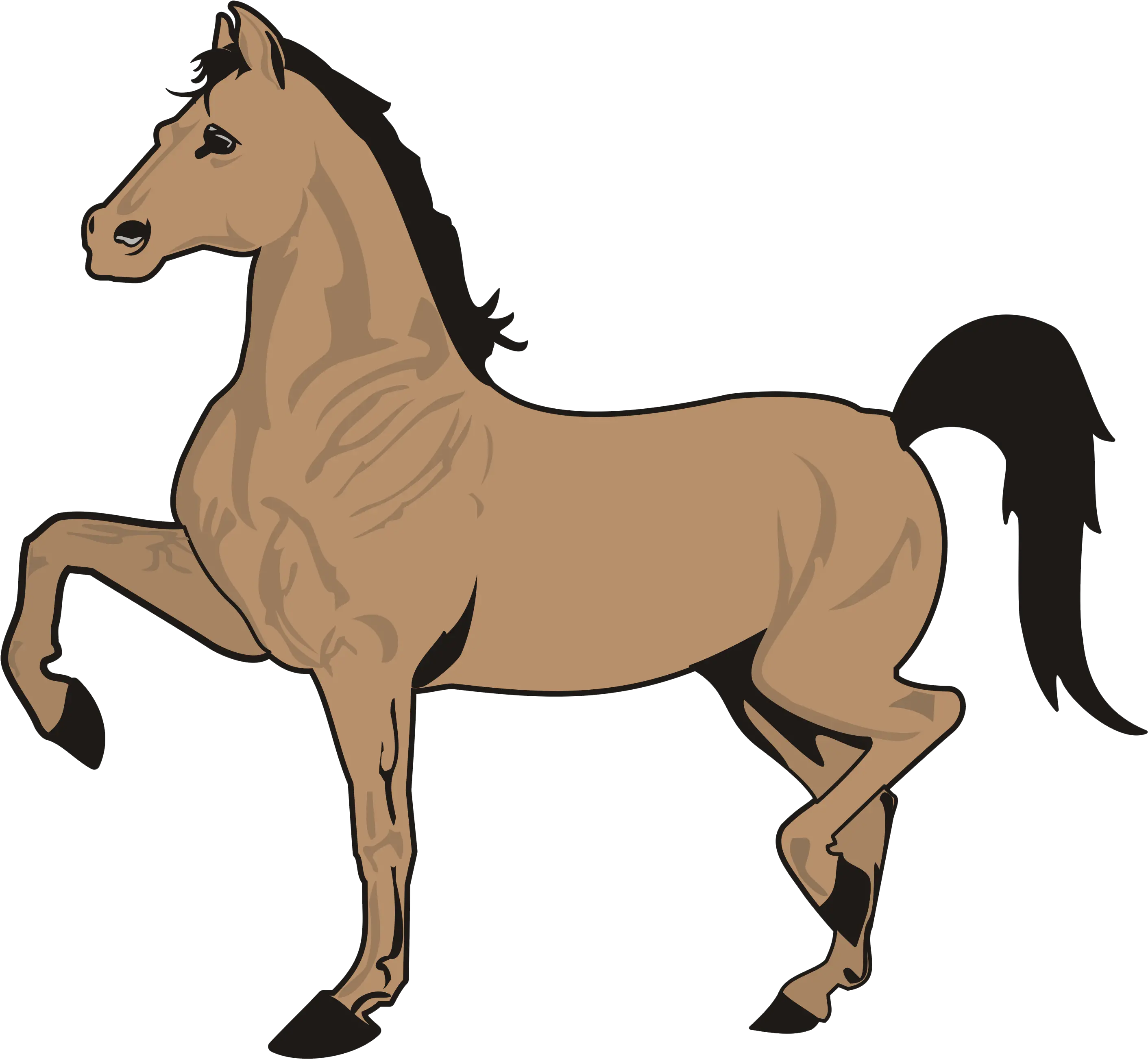 Running Horse Clip Art Black And White Horse Pics Cartoon Horse Drawing With Colour Png White Horse Png