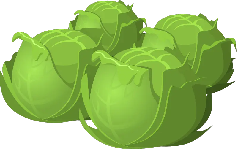 Cartoon Cabbage Food Png Cabbage Cartoon Png Cartoon Food Png