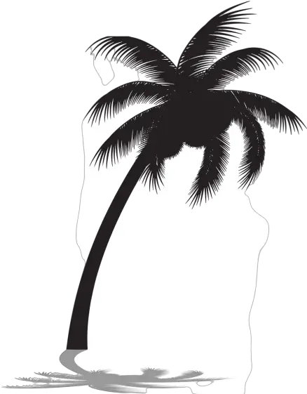 Palm Tree Silhouette Png Images Download Clip Art Coconut Tree Png Tree Icon Vector Free Download