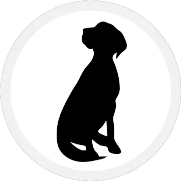 Whats New Dog With Butterfly Silhouette Png Clean Wholesome Icon