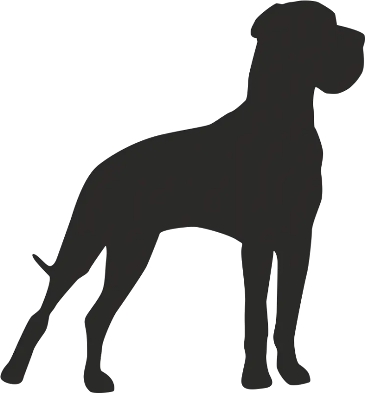 Great Dane Dog Breed Akita Pet Sitting Transparent Great Dane Silhouette Png Great Dane Png