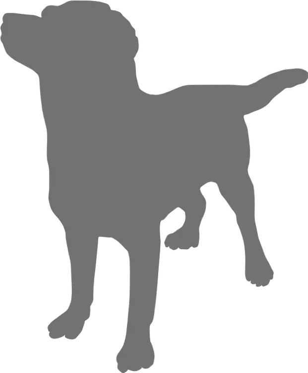 Sitting Dog Silhouette Png Benefits Of Dog Massage Dog Silhouette Png