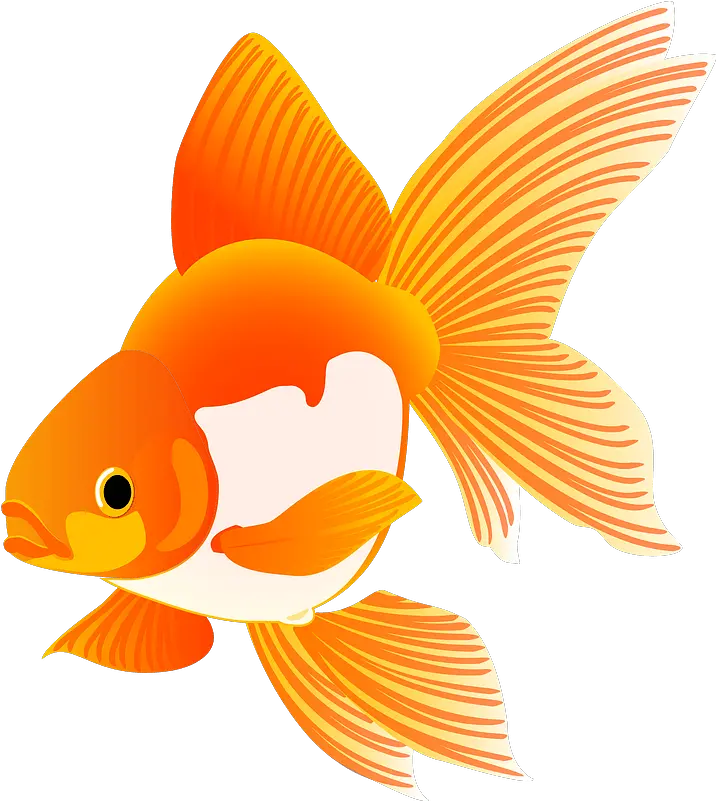 Download Goldfish Fish Clipart Hd Png Gold Fish Clipart Free Cartoon Fish Png