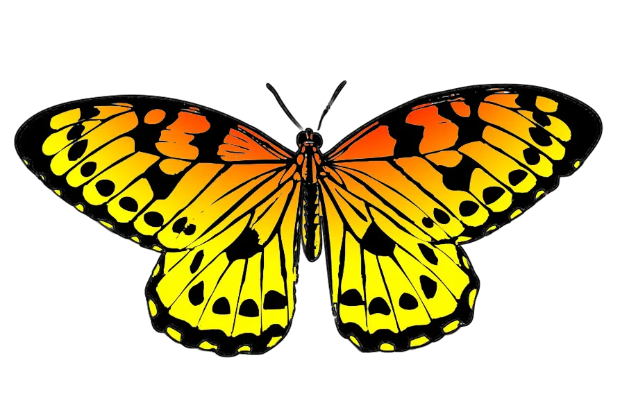 Butterfly Png Clipart Images Free Transparent U2013 Butterflies Yellow Cartoon Butterfly Png Images