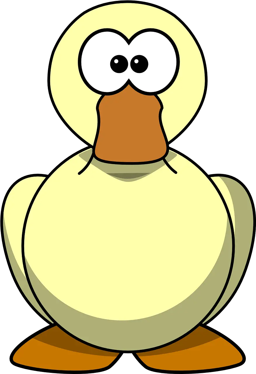 Big Bird Face Png Cartoon Duck Clipart Duck Clipart Png