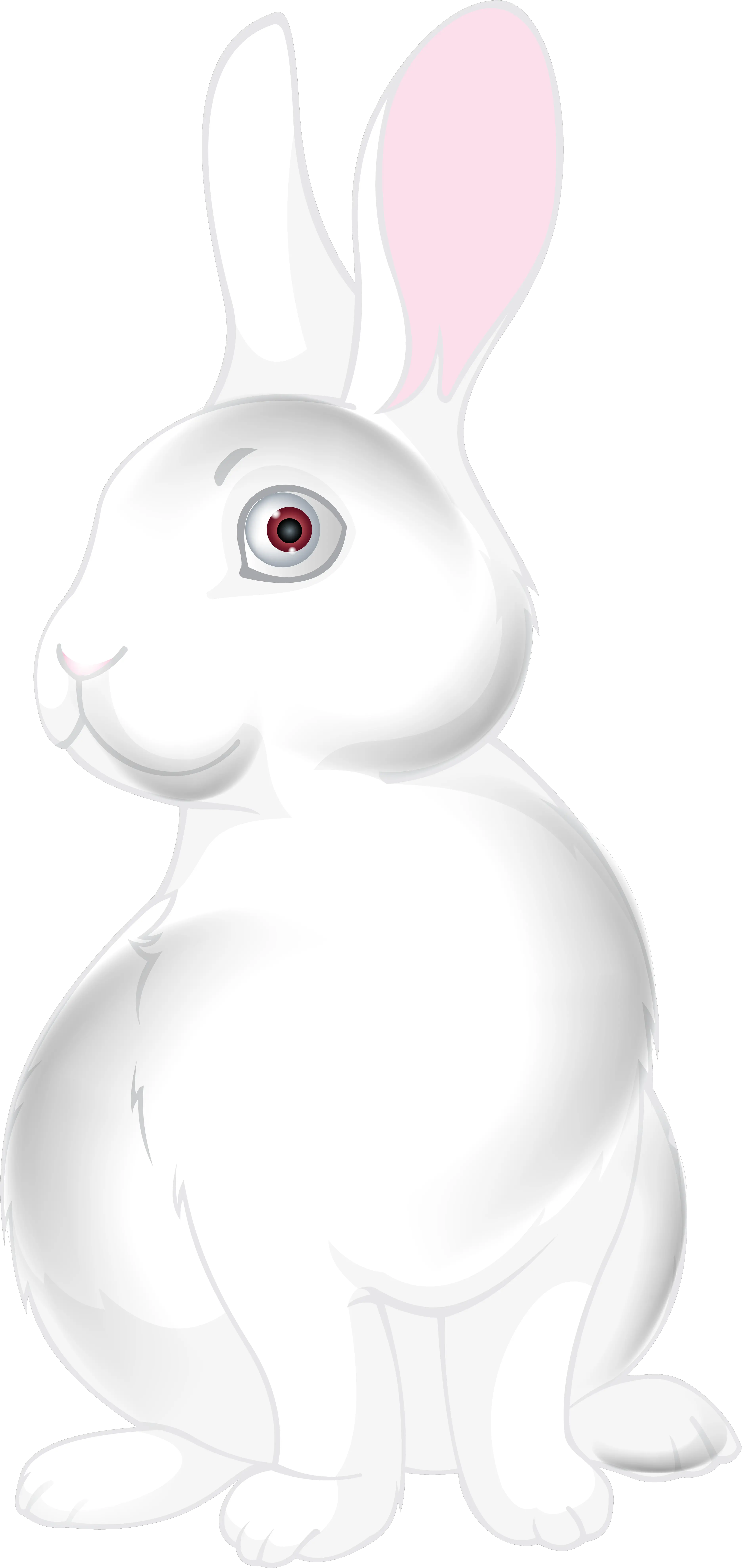 White Bunny Cartoon Png Clip Art Image Cartoon White Bunny Png