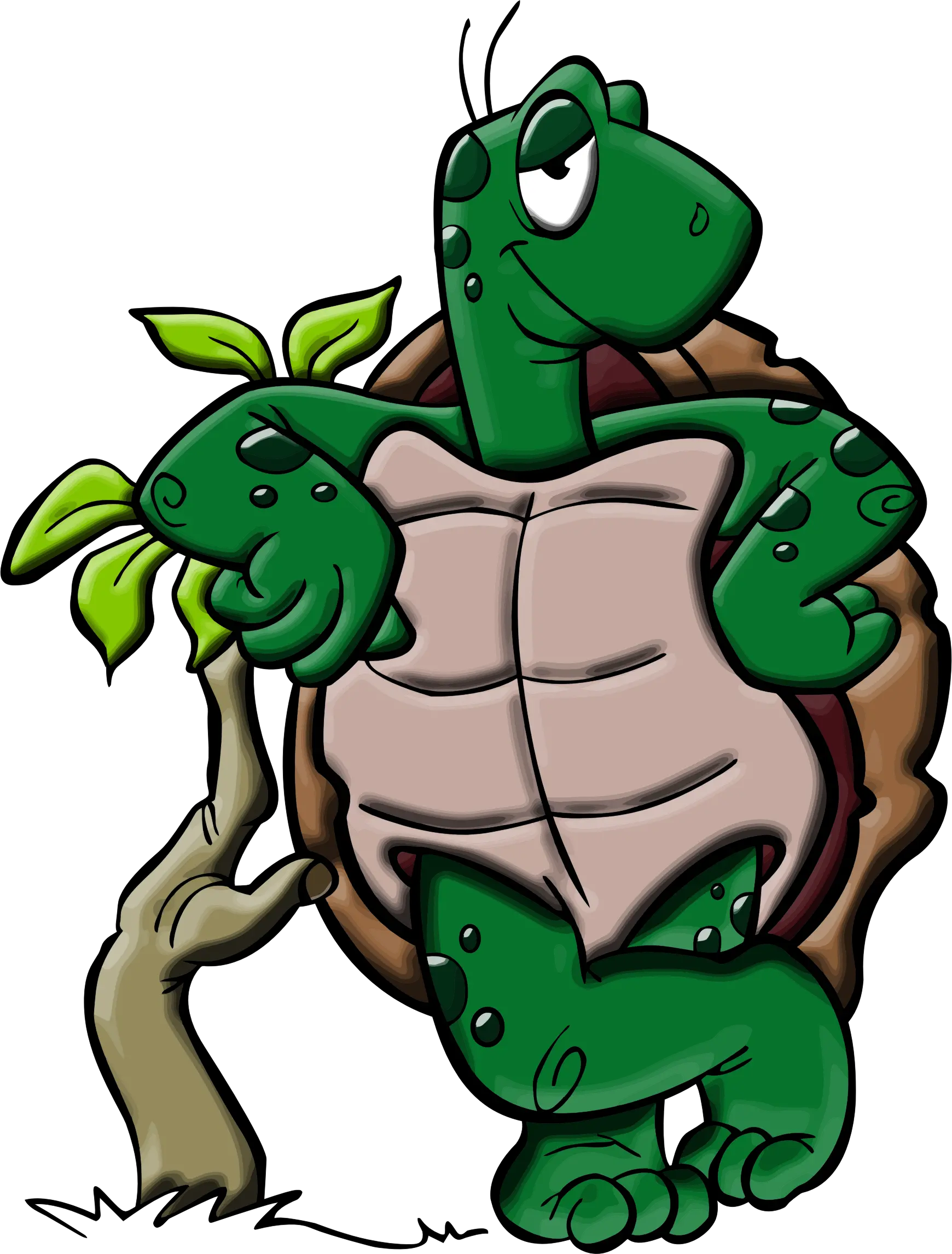 Cartoon Turtle Cartoon Turtle Png Cute Turtle Png