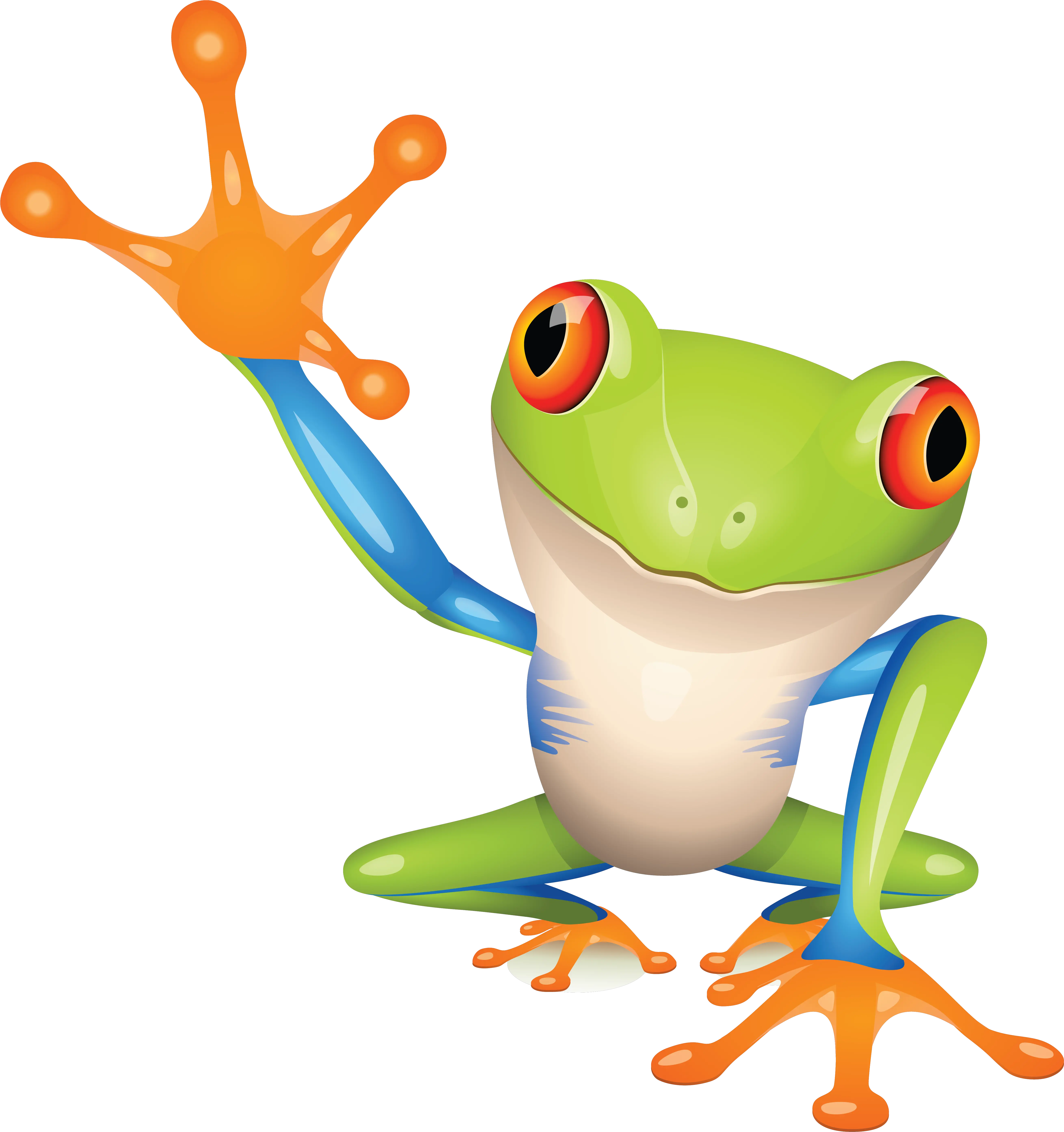 Frog Png Red Eyed Tree Frog Cartoon Transparent Frog