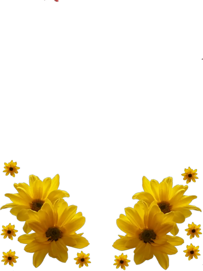 Download Yellow Flowers Frame Png Transparent Uokplrs Hd Birthday Wishes Flower Yellow Flowers Png