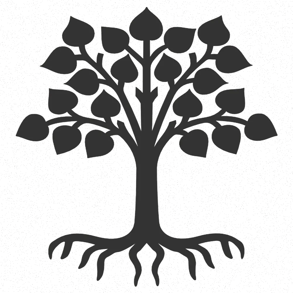 Meditation Clipart Tree Tree With Roots Clipart Black And White Png Oak Tree Silhouette Png