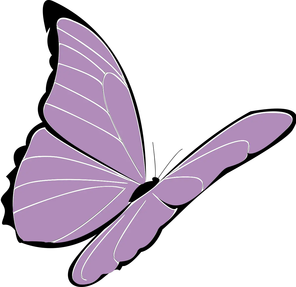 Violet Butterfly Vector Clip Art Flying Butterfly Cartoon Png Butterfly Vector Png