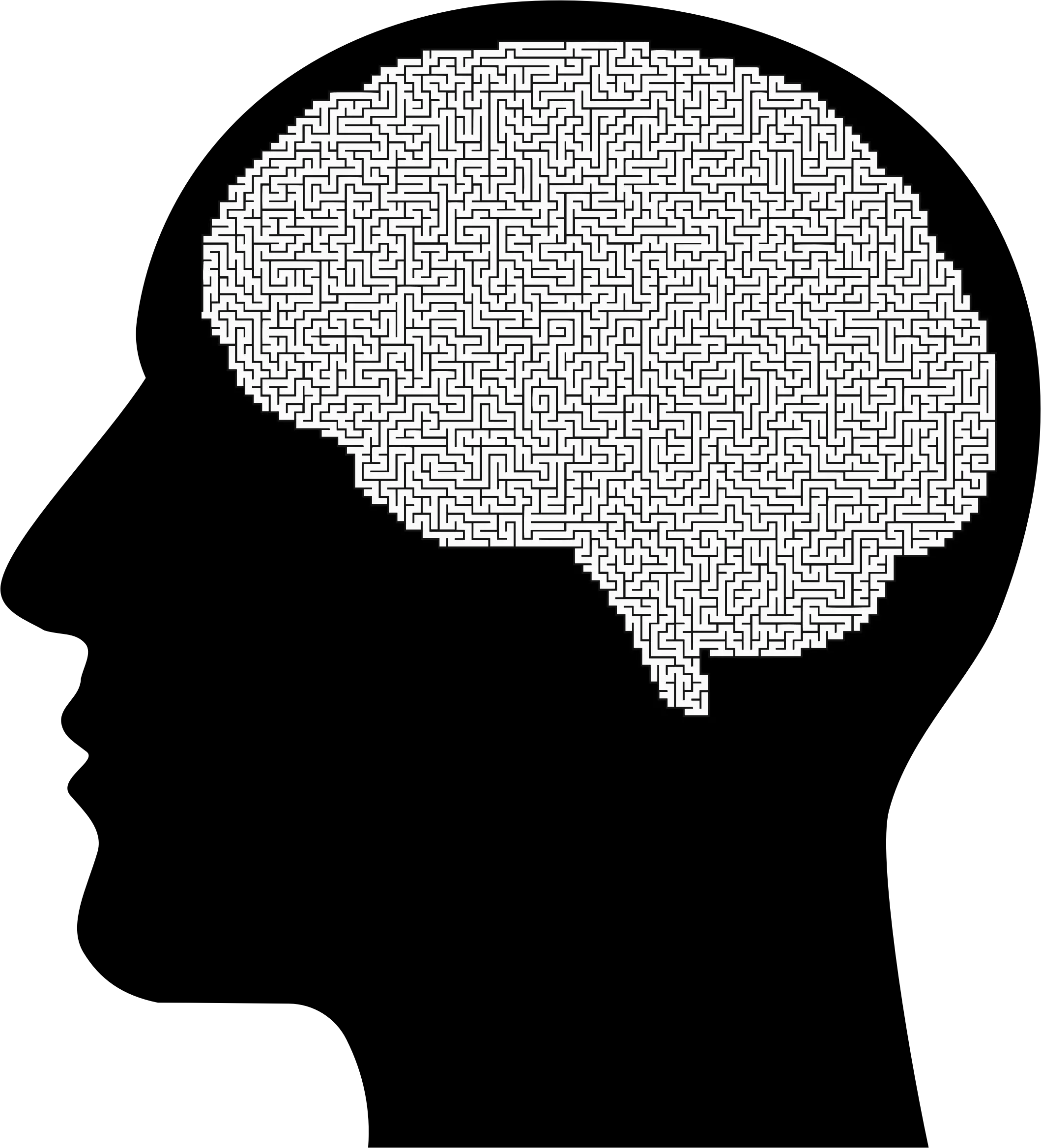 The Female Brain Human Head Man With Brain Silhouette Png Human Brain Png