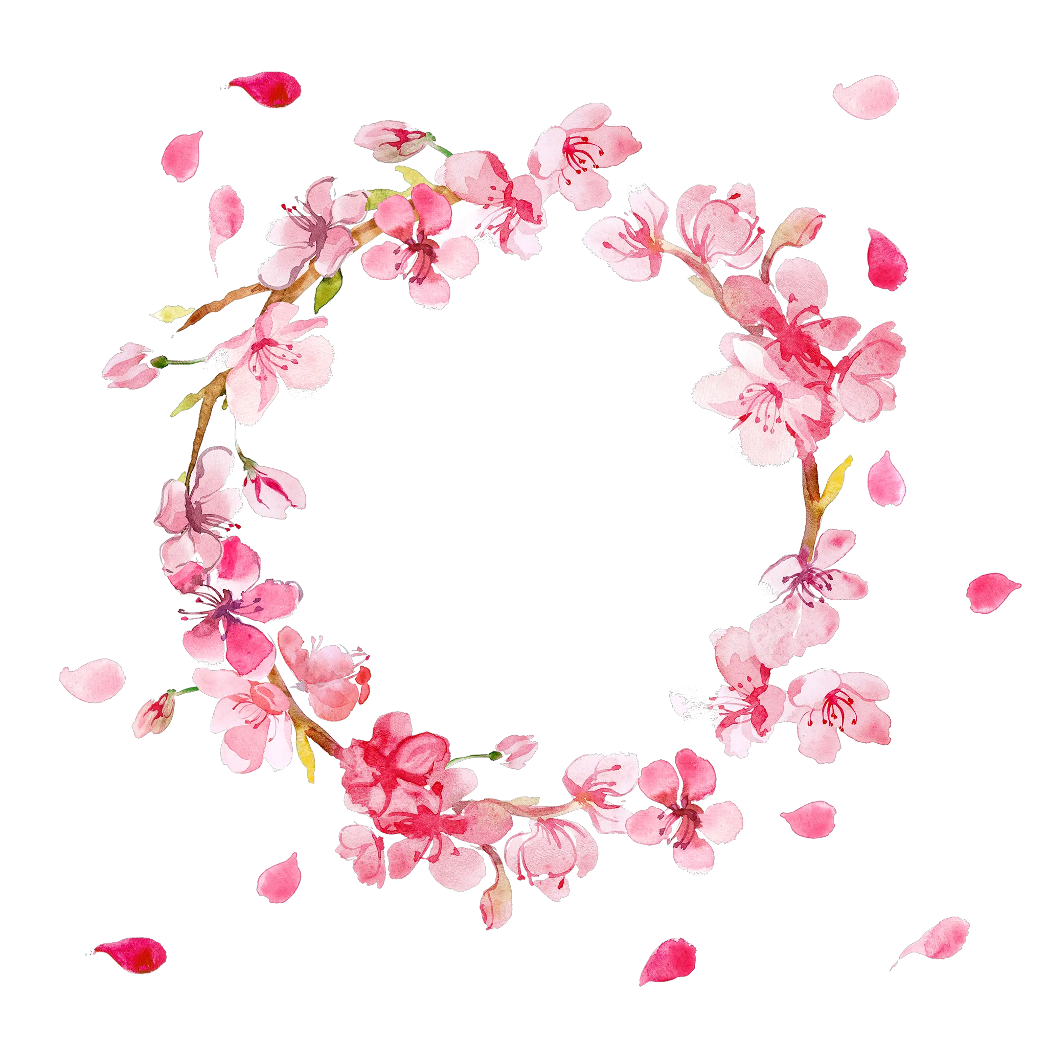 Flowers Images Png Hd Tier3xyz Pink Flower Circle Frame Png Flower Png Tumblr