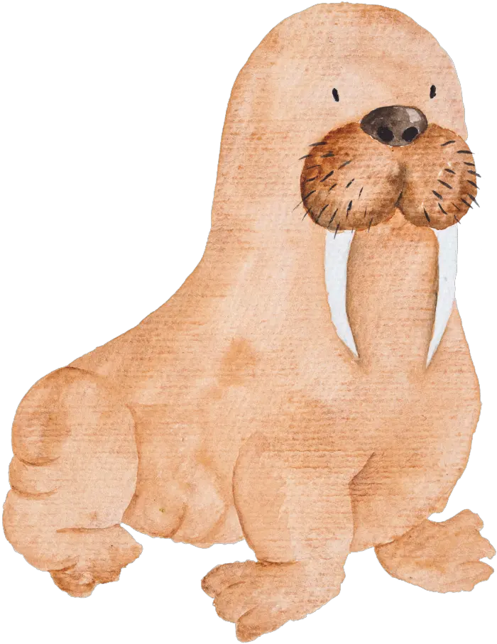 Brown Hand Painted Sea Elephant Cartoon Capitol Hill United Methodist Church Png Walrus Png