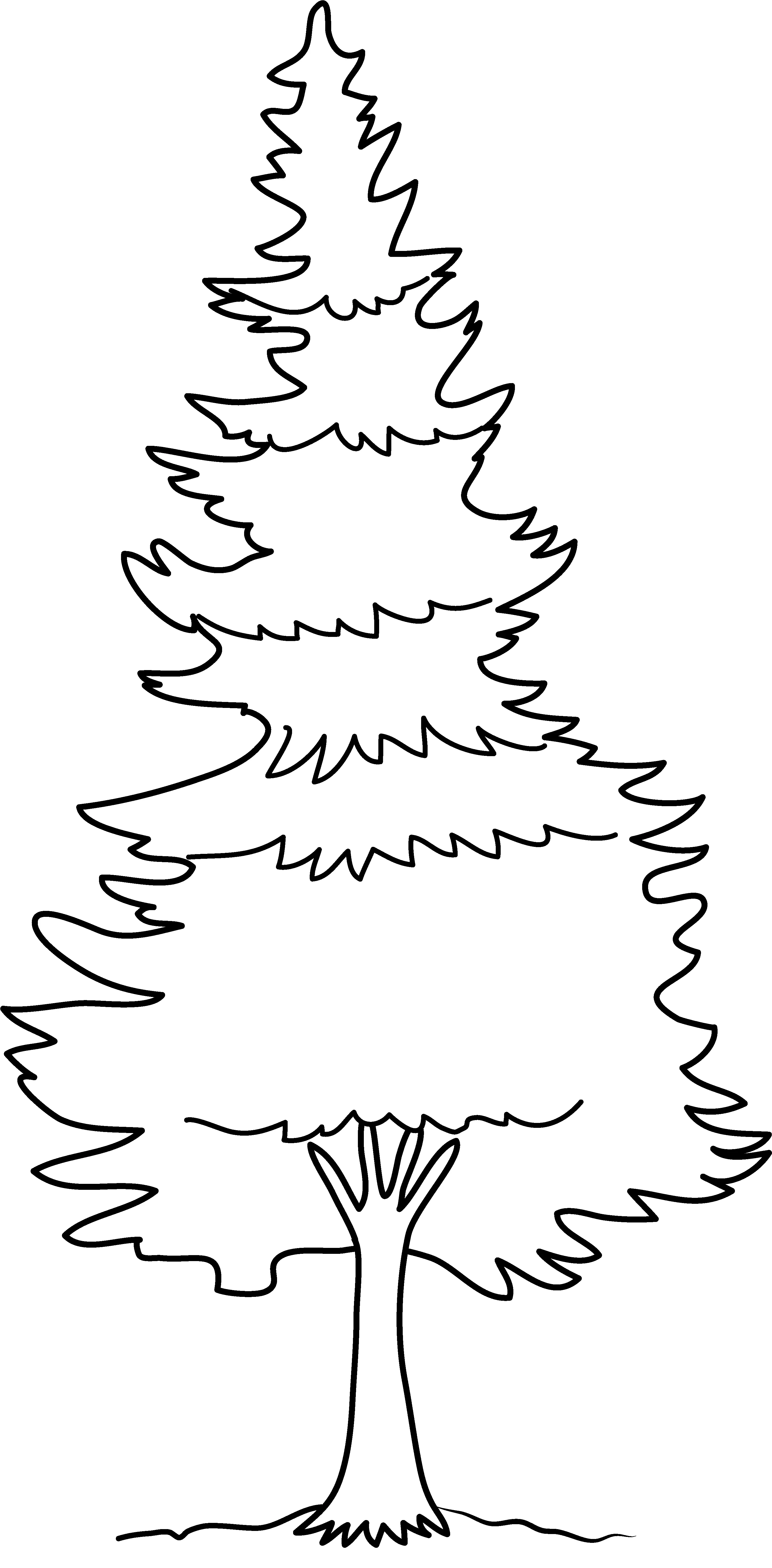 Download Pin Pine Tree Silhouette Clip Art Pine Tree Clip Pine Tree Tree Coloring Pages Png Forest Silhouette Png