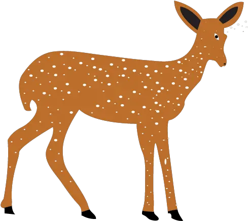 Deer Clip Art Silhouette Vector Transparent Doe Clipart Png Doe Png