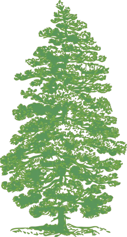 Green Pine Tree Clip Art Vector Clip Art Brush Photoshop Pine Trees Png Christmas Tree Silhouette Png