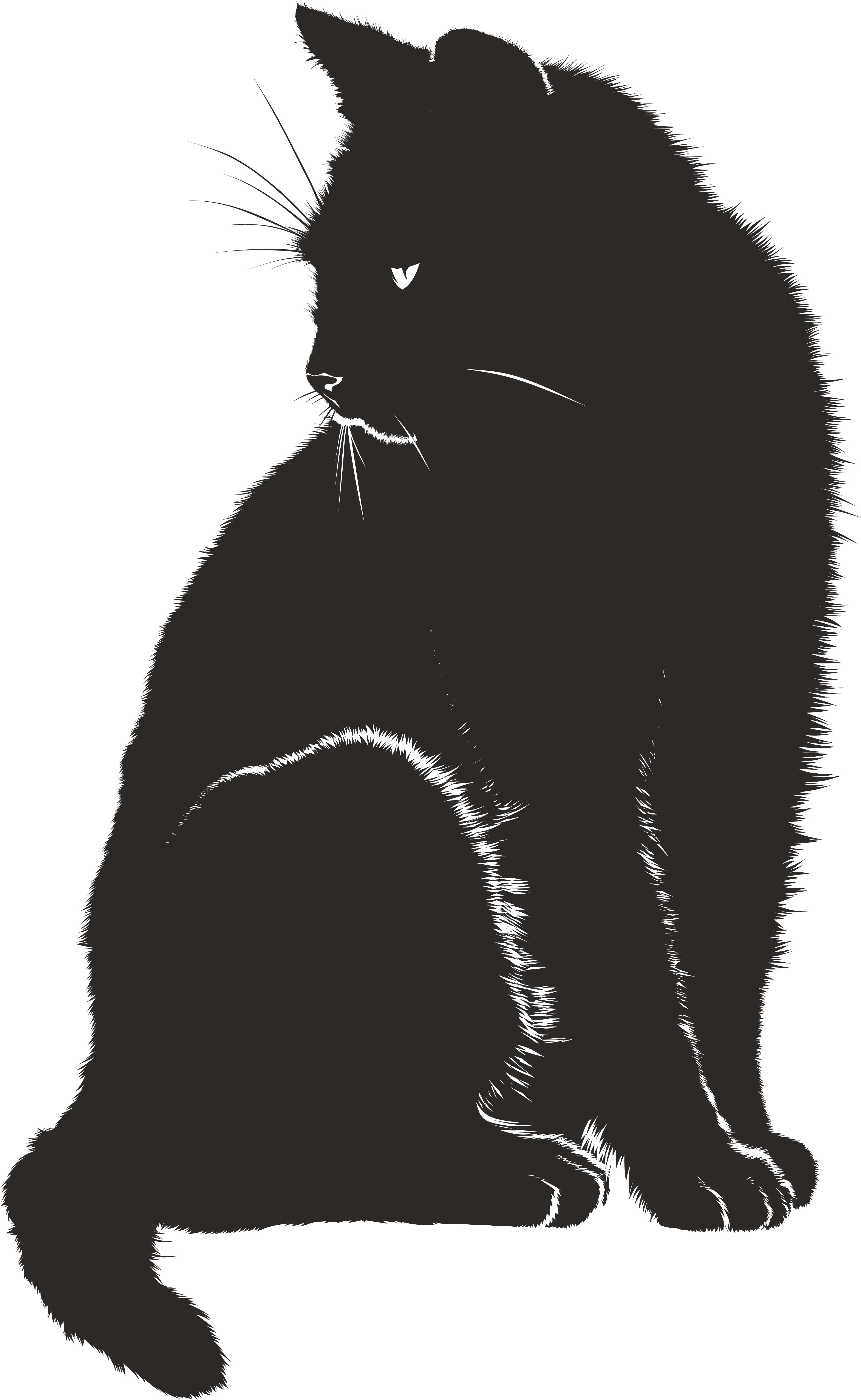 White Sitting Cat Black Cat Graphic Png Cat Silhouette Png