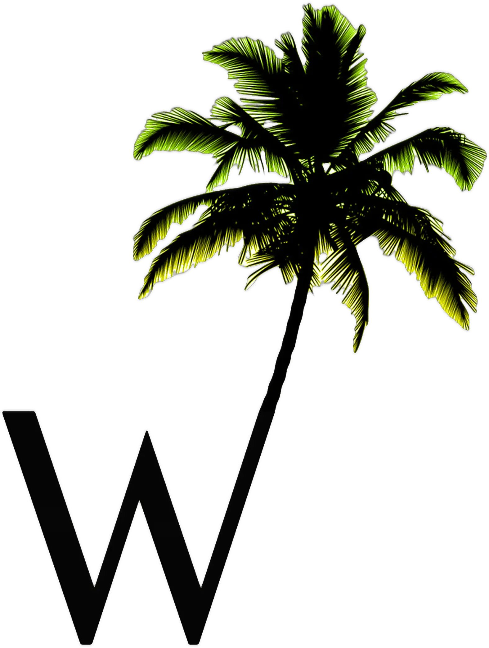 W Palm Only Logo No Background Palm Tree Silhouette Png Palm Tree Logo