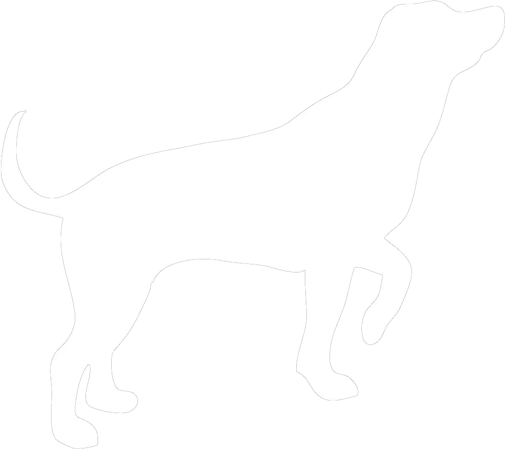 Dog Png Image Dogs Puppy Pictures White Dog Silhouette Png Dogs Png