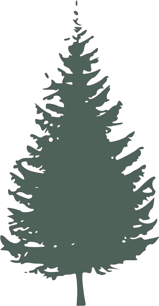 Graygreen Pine Tree Svg Vector Clip Art Pine Tree Silhouette Png Pine Tree Branch Png