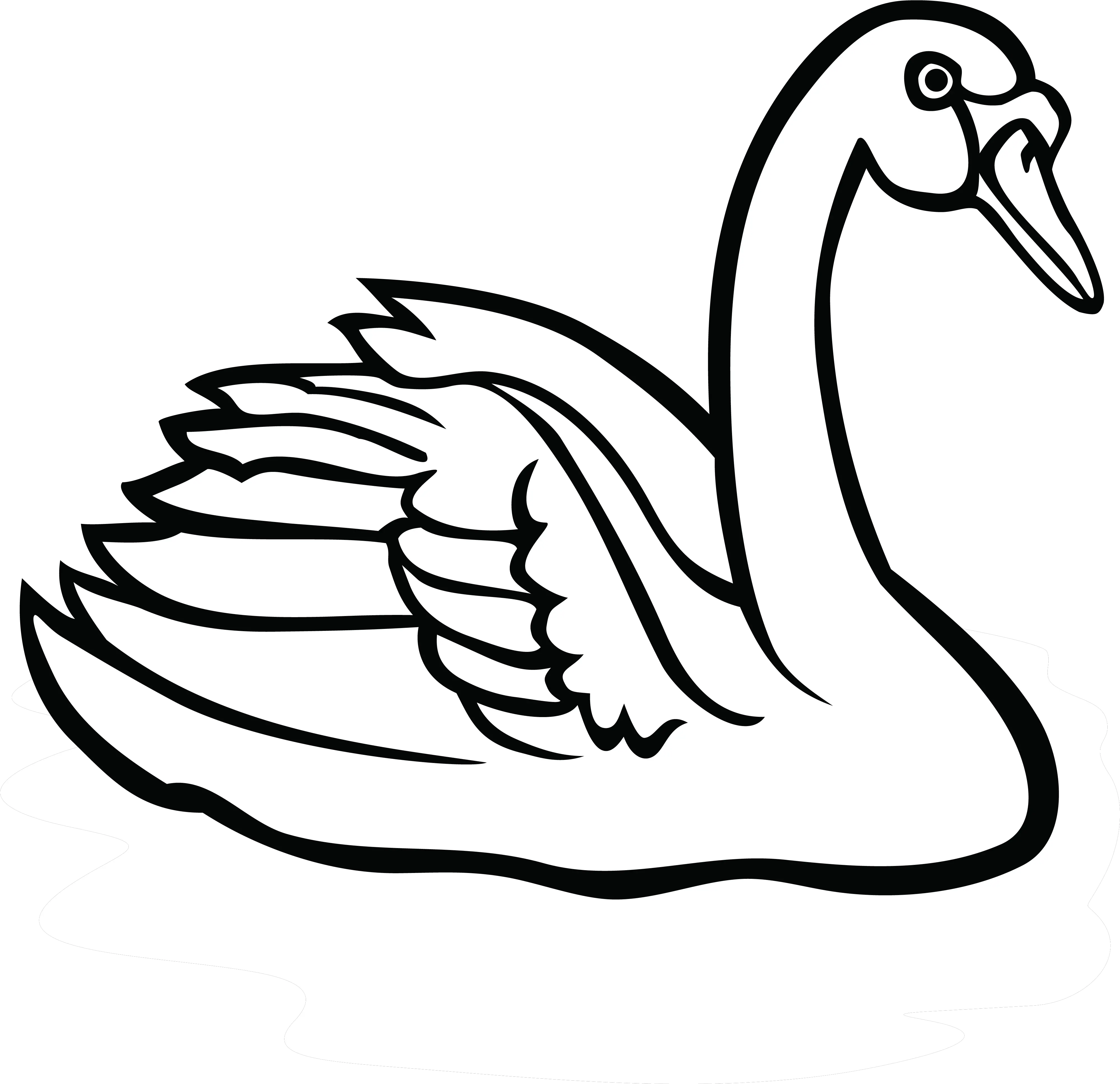 Swan Clipart Png 2 Image Swan Clipart Black And White Swan Png