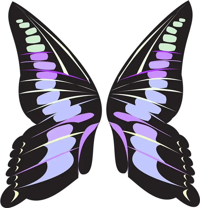 Butterfly Wings Pink Free Image On Pixabay Cartoon Fairy Wings Png Butterfly Wings Png